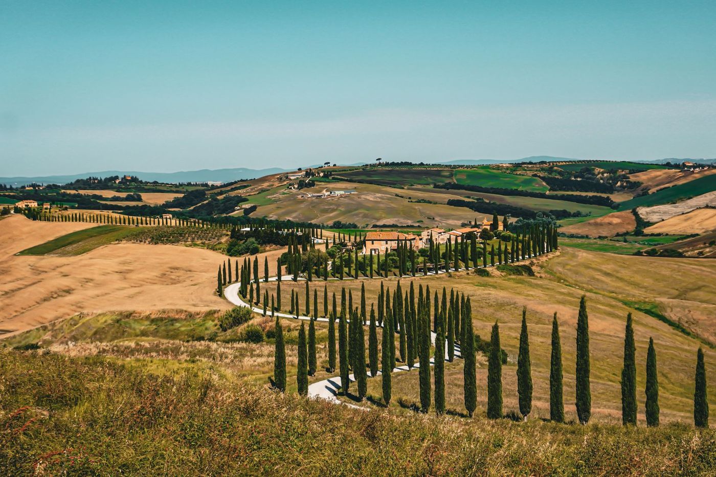 A cypress-lined road winding across the Tuscan hills